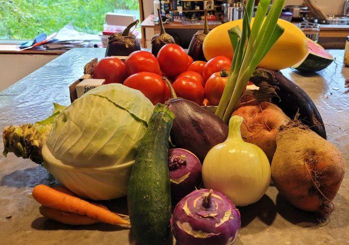 Échantillon de légumes fraichement cueillis à La Ferme d'en Haut à L'Anse-Saint-Jean.